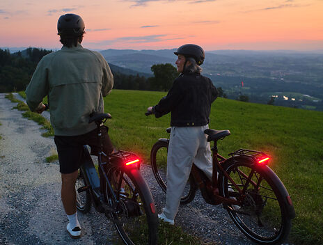 Gotour-Sicherheit