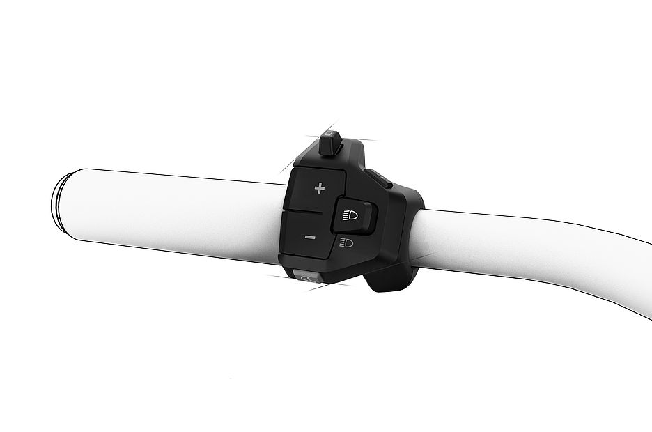 FIT-Rendering-Remote